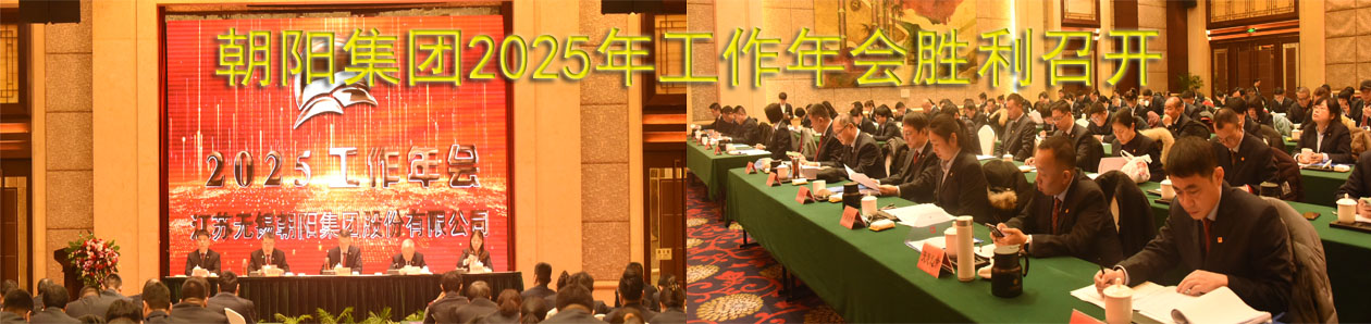 朝陽(yáng)集團(tuán)2025年工作年會(huì)勝利召開(kāi)